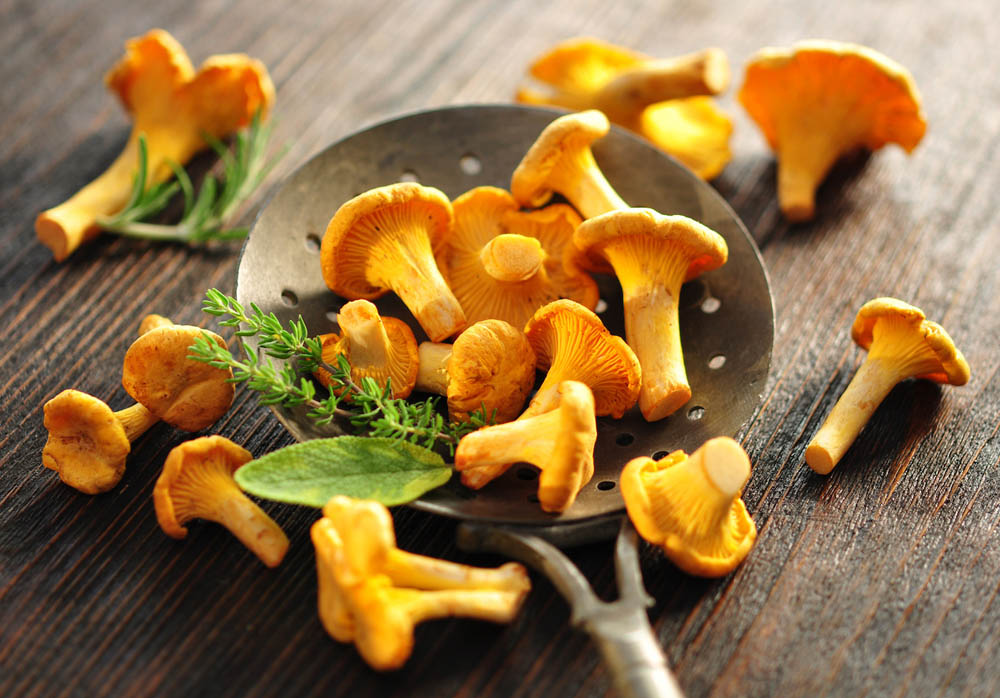 Fresh chanterelle mushrooms scattered on a wooden surface with a metal slotted spoon, garnished with herbs.