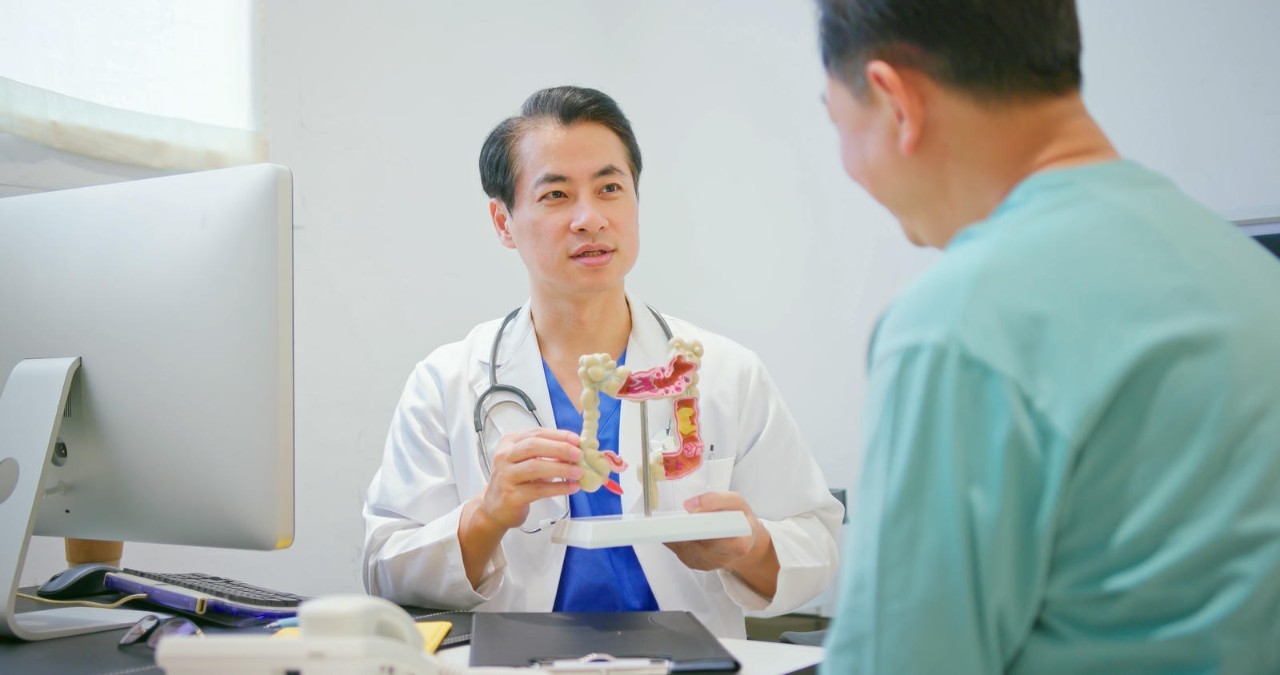 Doctor showing a colon model to a patient during a consultation.