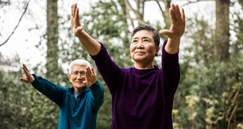 Elderly woman and man practicing Tai Chi outdoors, surrounded by greenery.