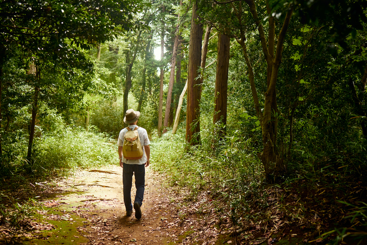 Man walking on a forest trail