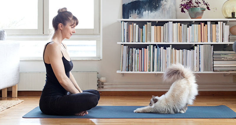 Person sitting on a yoga mat at home, watching a fluffy white cat stretching nearby.