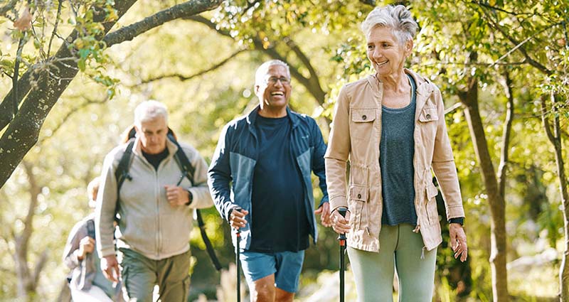 Group of older adults hiking through a scenic forest, enjoying the outdoors and staying active together.
