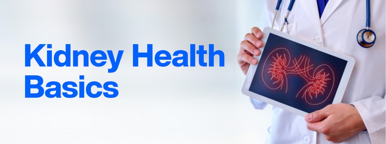 kidney health basics