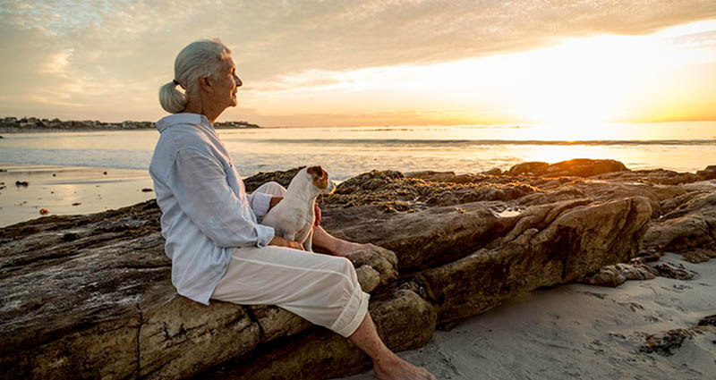 An older woman sits on a rock by the beach, holding a small dog, as she gazes at the sunset over the ocean, creating a peaceful scene.