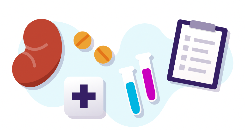 Illustration of a kidney, two pills, a medical cross, test tubes with blue and pink liquid, and a clipboard with a checklist.