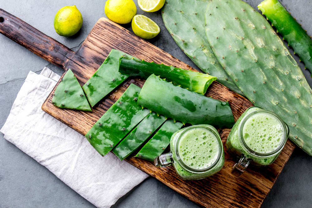 Healthy cactus nopales, aloe vera and lemon drink smoothie and ingredients on gray background. Top view.