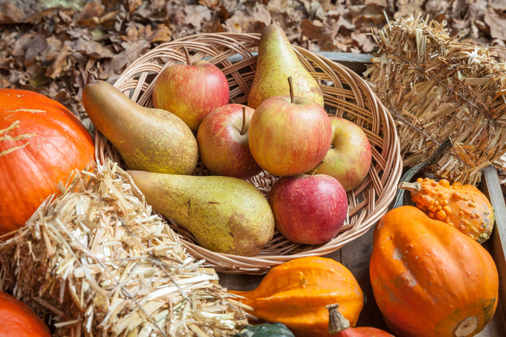 Pumpkins, apples, pears, tomatos and straw on a wooden plate.