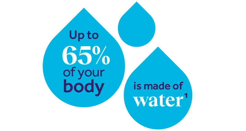 Water makes up 65 percent