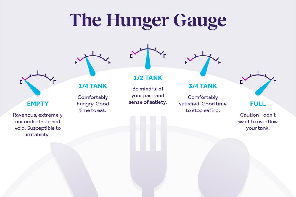  An infographic titled "The Hunger Gauge," featuring four gauges that indicate hunger levels: "Empty," "1/4 Tank," "1/2 Tank," and "Full."