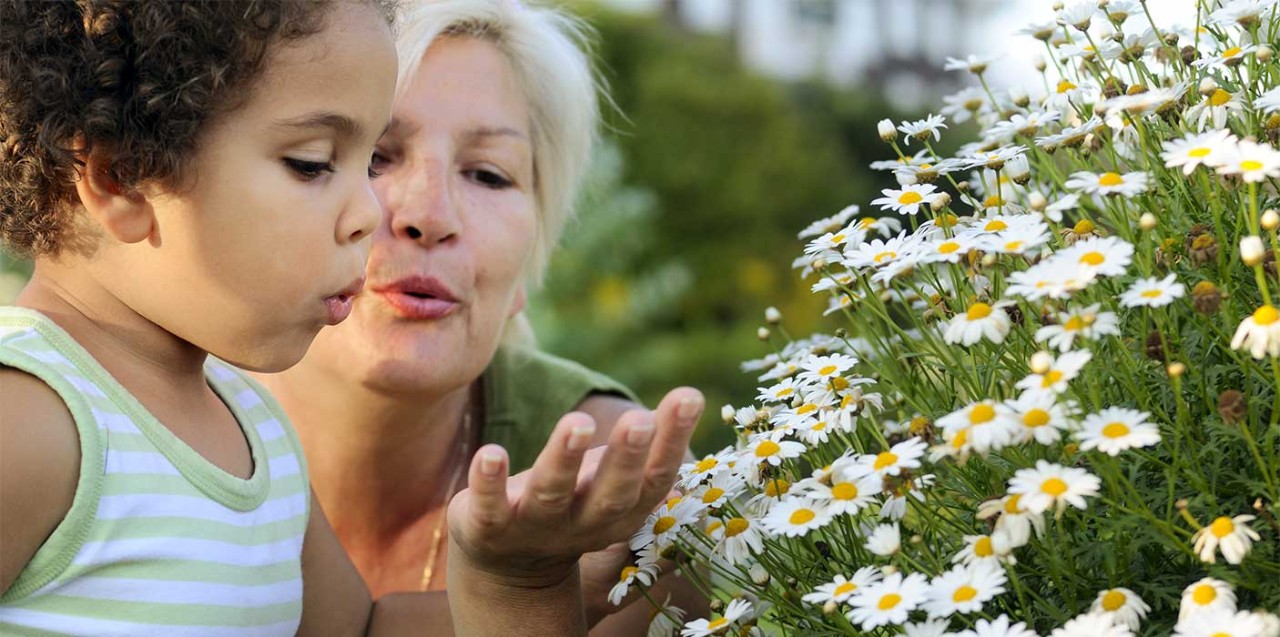 Grandmother and grandaughter playing with flowers