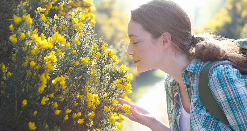 A woman with a backpack leans in to smell vibrant yellow flowers, enjoying a moment in nature