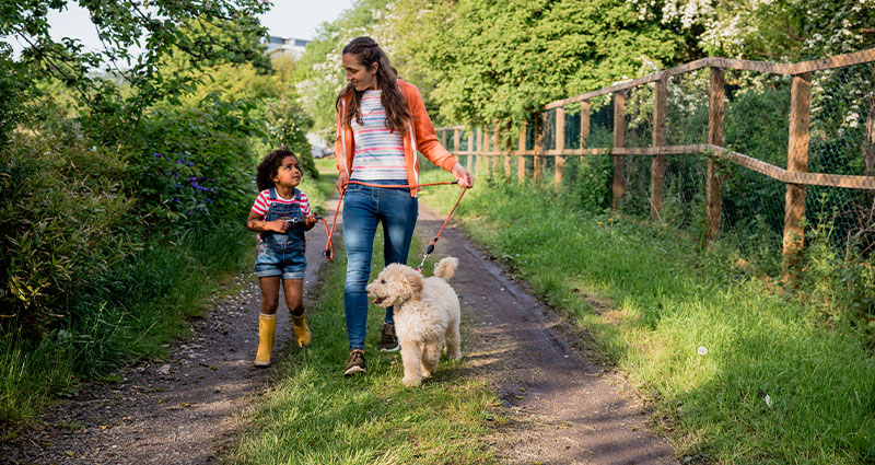 Lady taking child and dog for a walk