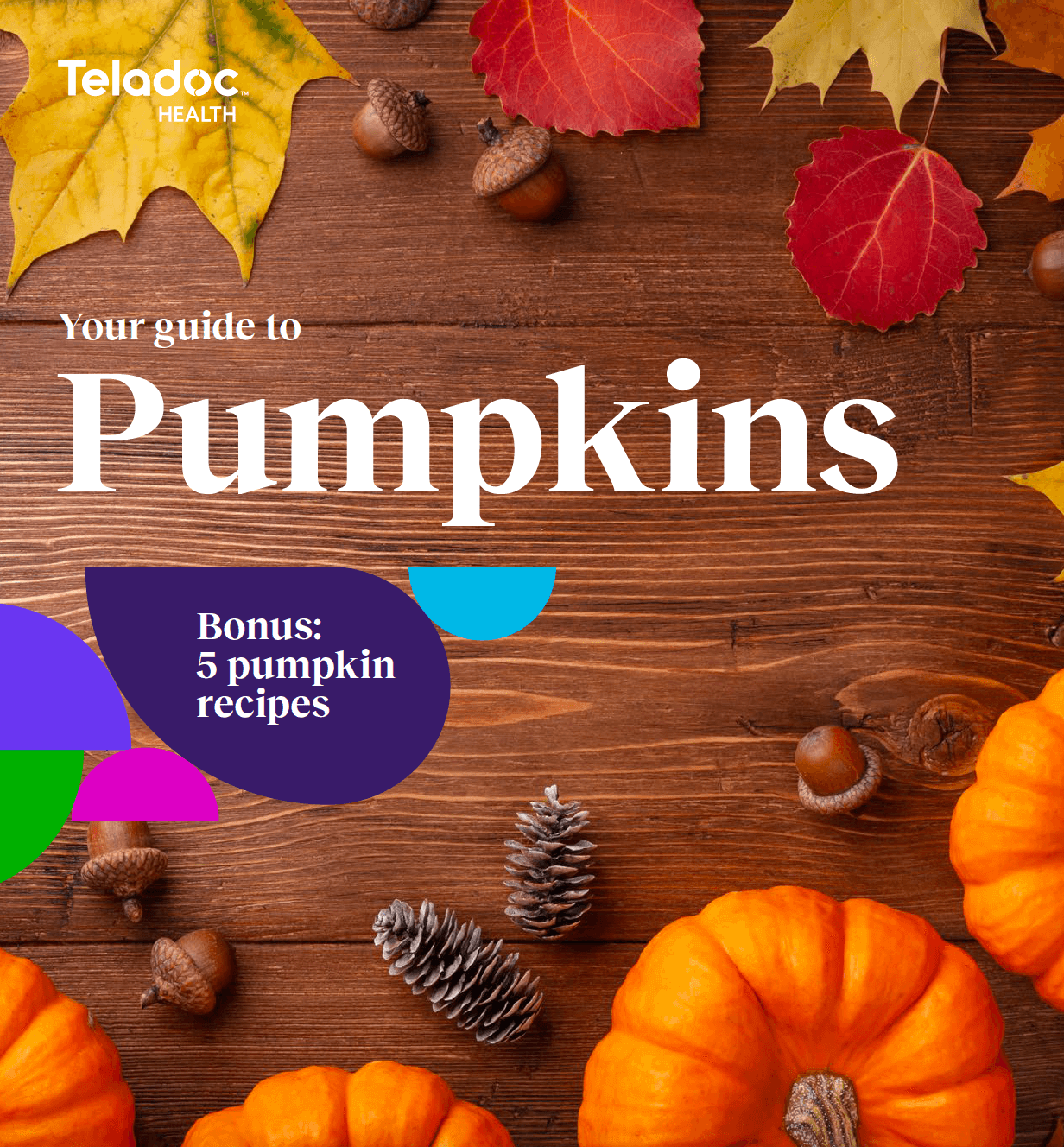 Your guide to pumpkins