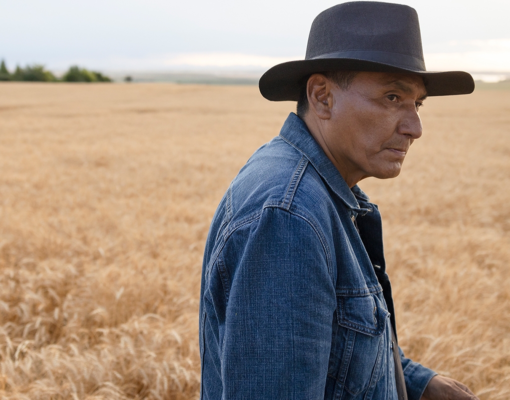 Man walking in a field