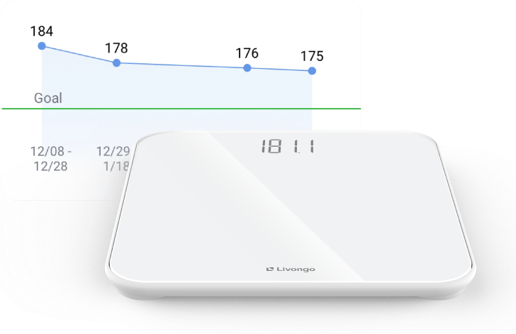 scale