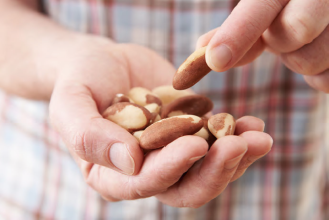   Persona sosteniendo un puñado de nueces de Brasil y tomando una con la otra mano