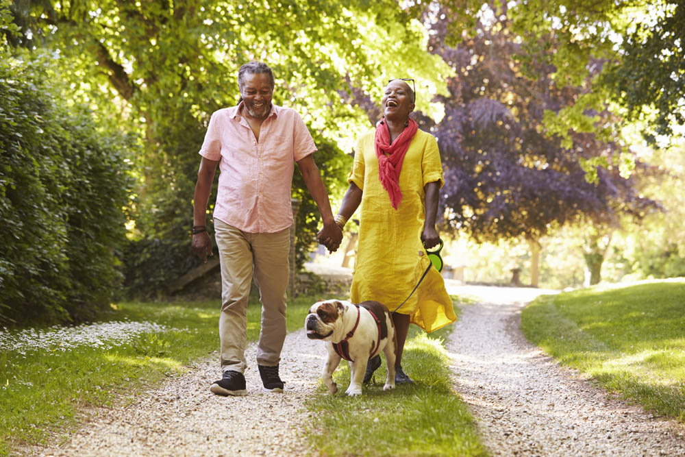 Pareja de personas mayores caminando con un bulldog en el campo
