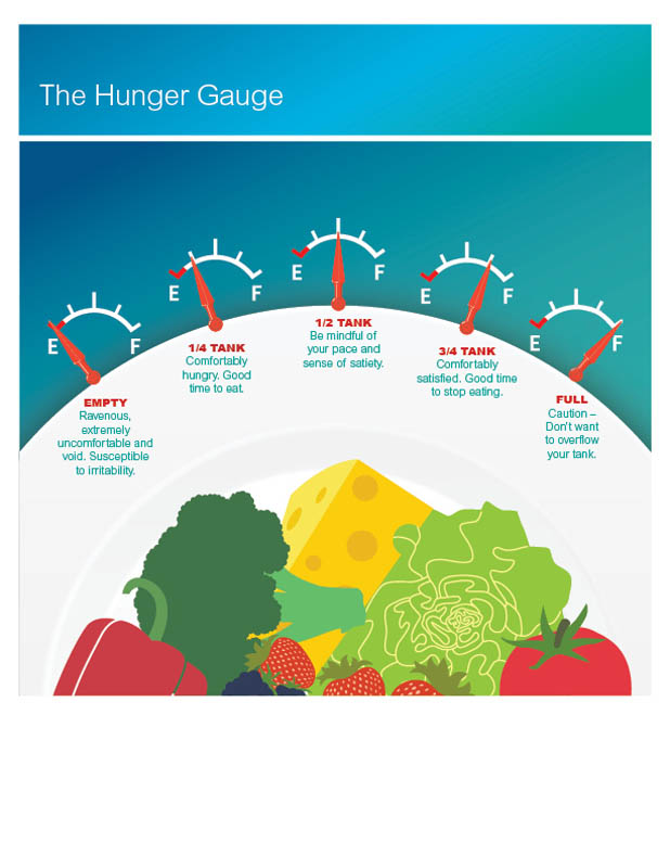  An infographic titled "The Hunger Gauge," featuring four gauges that indicate hunger levels: "Empty," "1/4 Tank," "1/2 Tank," and "Full."