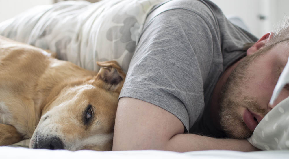 A man sleeping in bed next to a dog, both lying comfortably on their sides. The dog is nestled close to the man, creating a cozy and peaceful scene.